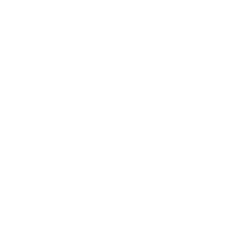 skill icon